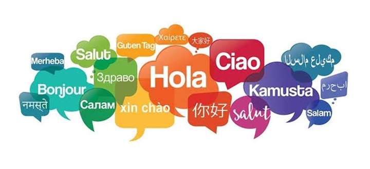 TRANSLATION SERVICES